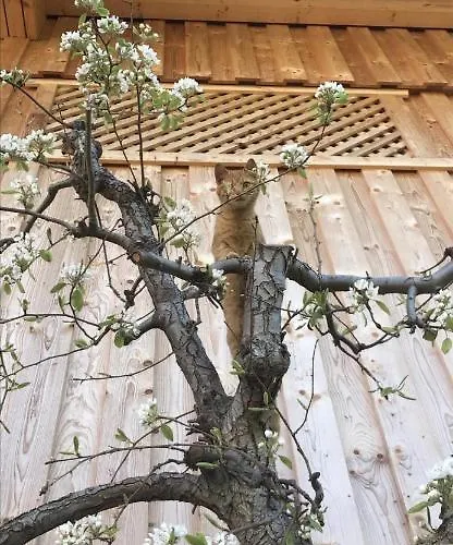 Schneiderhof Agroturismo Weerberg