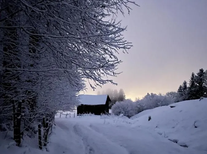 Bauernhof Schneiderhof