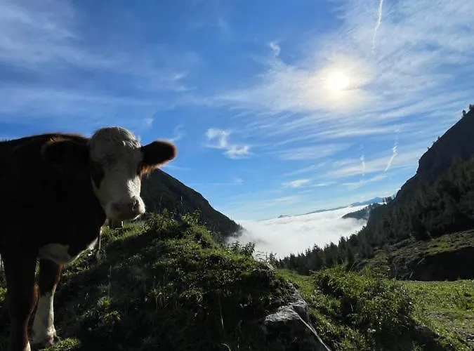 Agroturismo Schneiderhof *