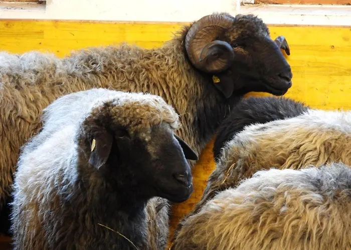 Schneiderhof * ווירברג