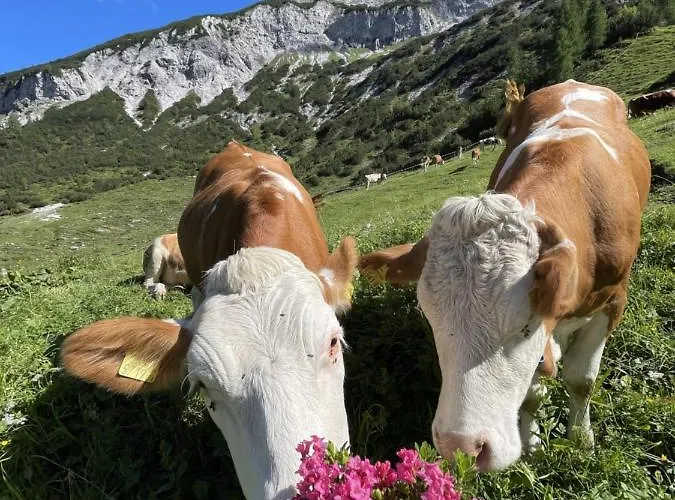 Schneiderhof * Weerberg