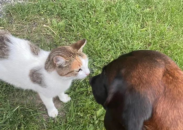 Schneiderhof * Weerberg