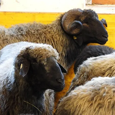 Schneiderhof * Верберг