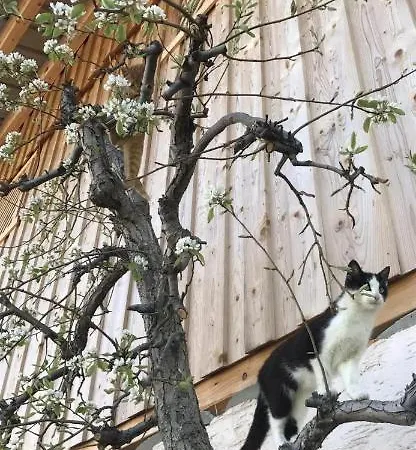 Schneiderhof Фермерский дом *