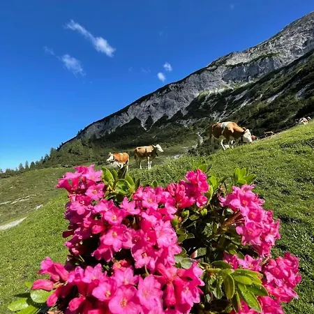 Schneiderhof *
