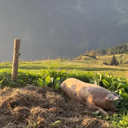 Schneiderhof Фермерский дом