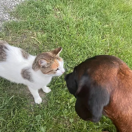 Schneiderhof * Верберг