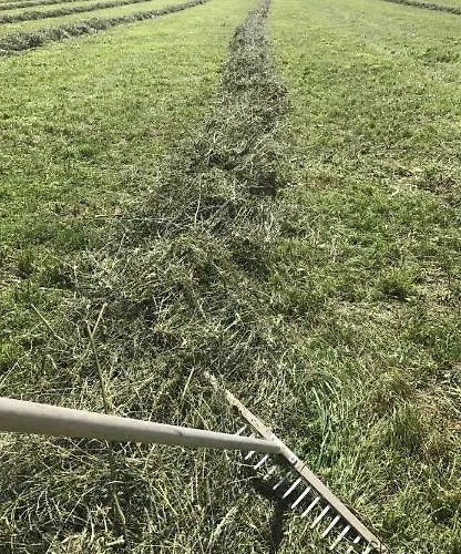 Schneiderhof Bauernhof