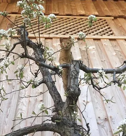 Schneiderhof 팜스테이 비어베르그