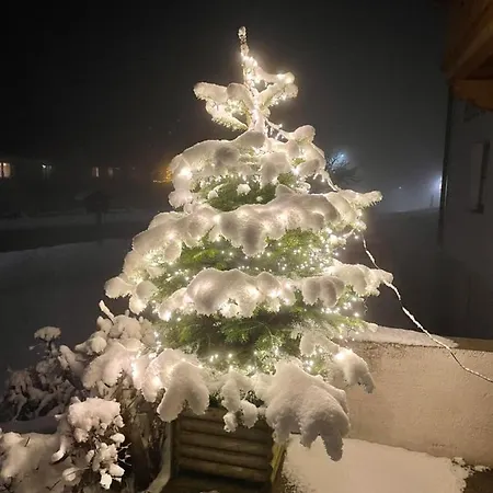 팜스테이 Schneiderhof