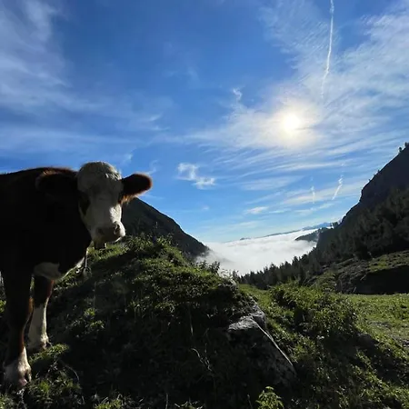 팜스테이 Schneiderhof *