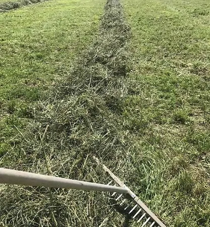 Schneiderhof 팜스테이