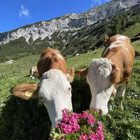 Schneiderhof * 비어베르그