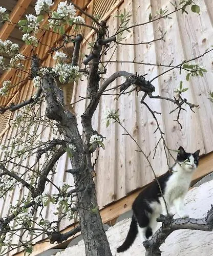 Schneiderhof Vakantieboerderij *