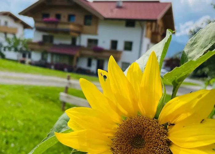 Vakantieboerderij Schneiderhof